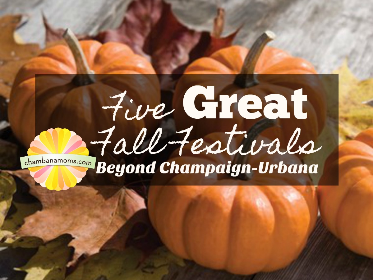 Five Fantastic Fall Festivals Beyond ChampaignUrbana LaptrinhX / News