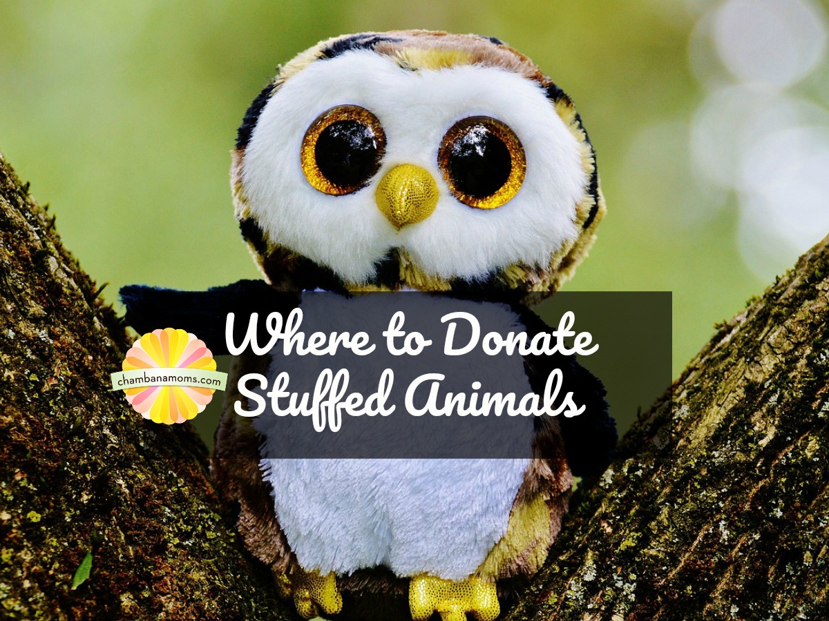 Where to Donate Stuffed Animals in ChampaignUrbana