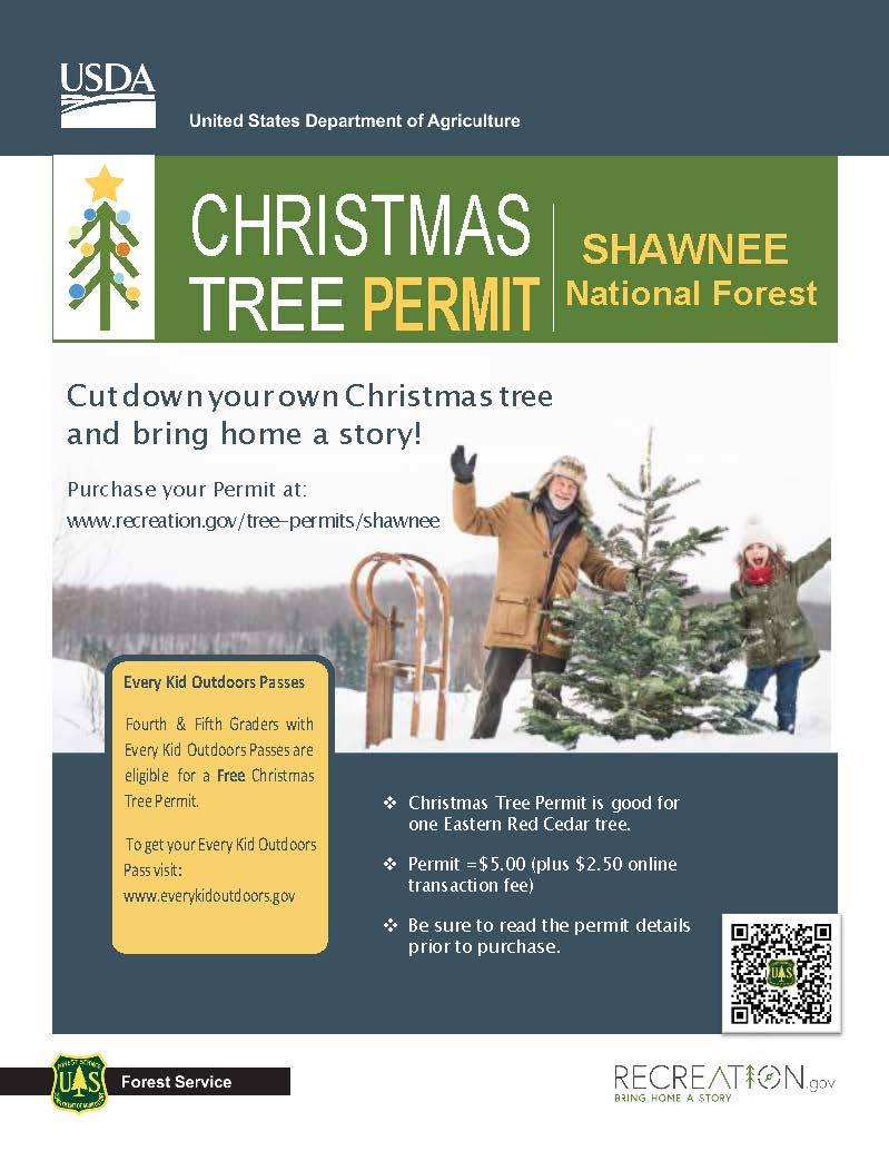 Getting a Christmas tree permit