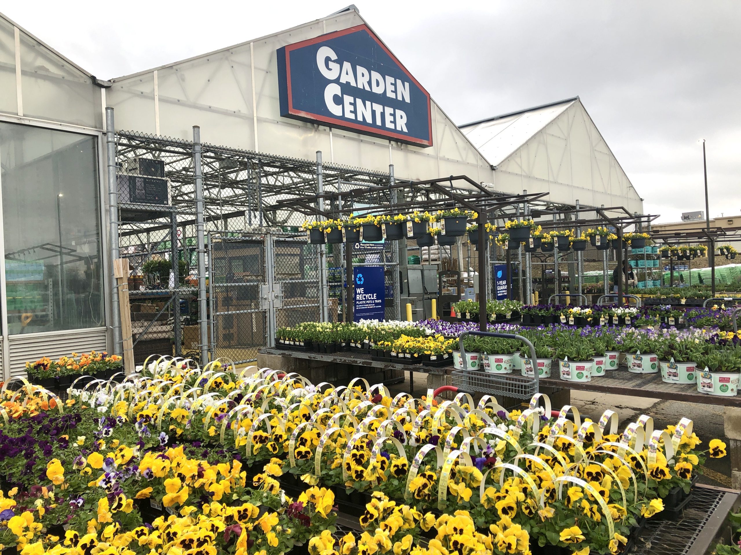Sign Up for Free Garden Kits at Lowe's in April